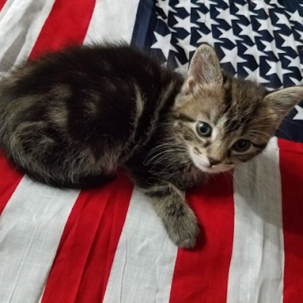 Meet your Posher, Mildred